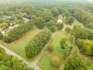 Aerial view of tree canopy