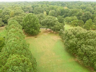 Dense tree coverage from above