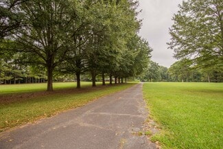 Tree-lined driveway